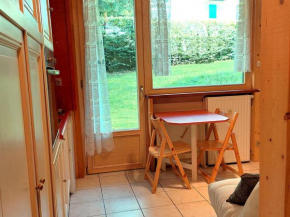 Studio Chamonix rénové, proche centre et télécabine, animaux admis, parking - FR-1-517-3